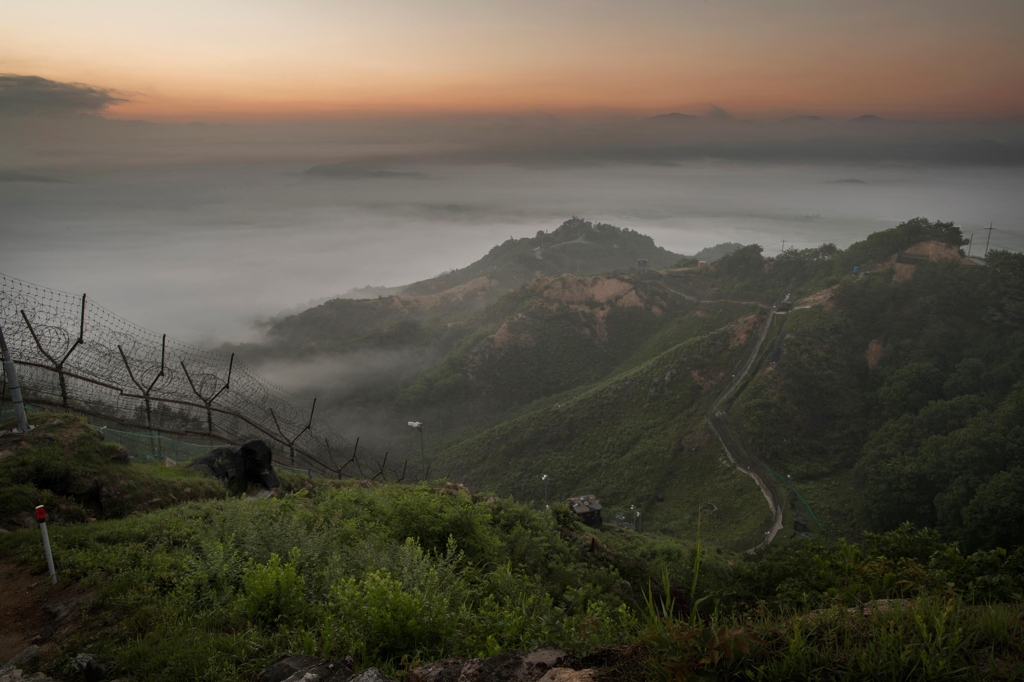 DMZ 산림
